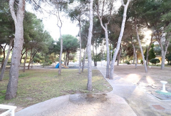 Rynek Wtórny - Apartament - Alicante - Campoamor