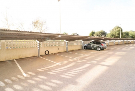 Rynek Wtórny - Apartament - Alicante - Campoamor