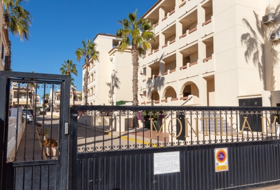 Rynek Wtórny - Apartament - Orihuela Costa - Playa Flamenca