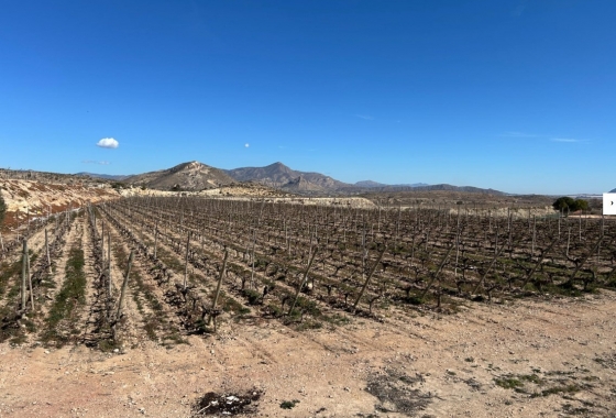 Rynek Wtórny - Willa - Novelda