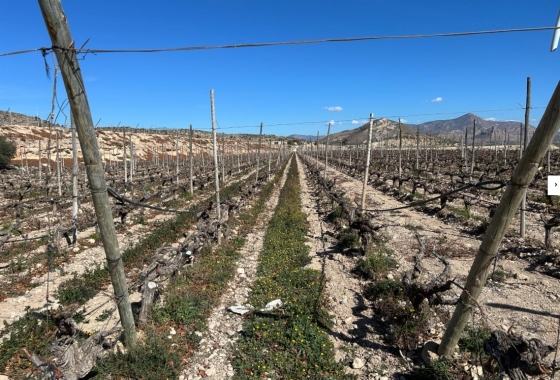 Rynek Wtórny - Willa - Novelda