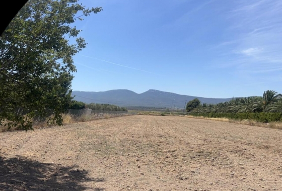 Rynek Wtórny - Willa - Castalla