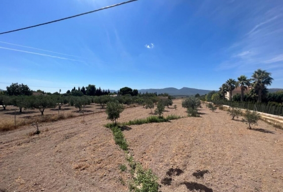 Rynek Wtórny - Willa - Castalla