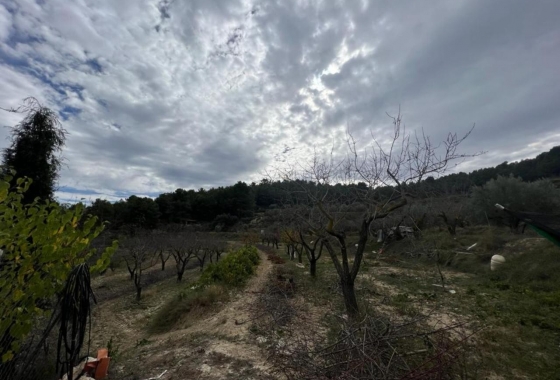 Reventa - Villa - Ibi