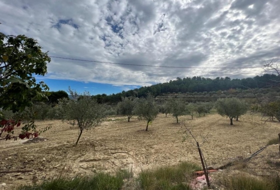 Reventa - Villa - Ibi