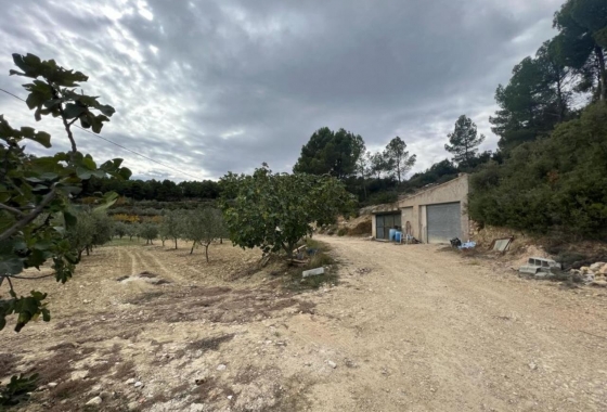 Reventa - Villa - Ibi