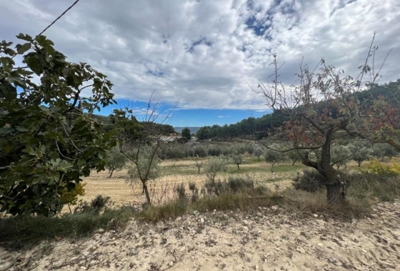 Reventa - Villa - Ibi