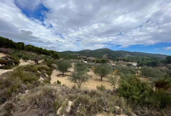 Reventa - Villa - Ibi