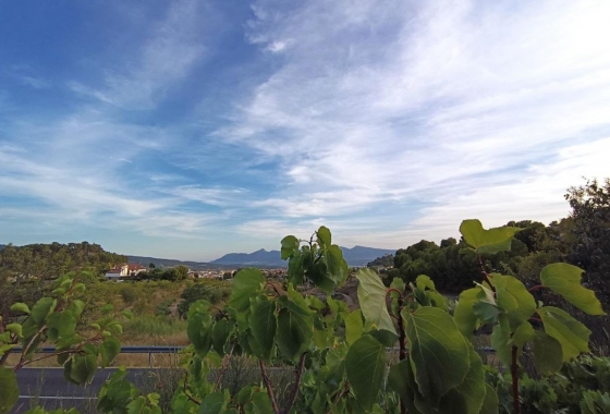 Rynek Wtórny - Willa - Ibi