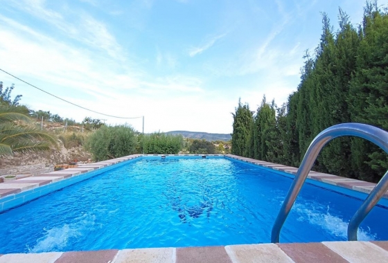 Rynek Wtórny - Willa - Ibi