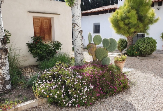 Rynek Wtórny - Willa - Castalla