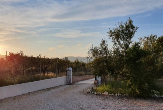 Rynek Wtórny - Willa - Castalla