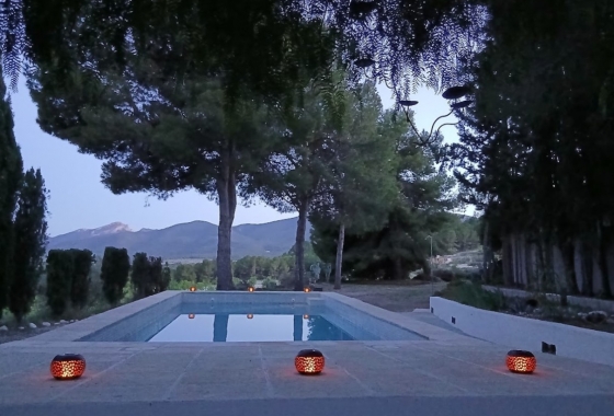 Rynek Wtórny - Willa - Castalla