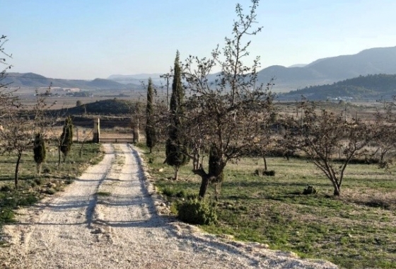 Rynek Wtórny - Willa - Alicante - Cañada Roja