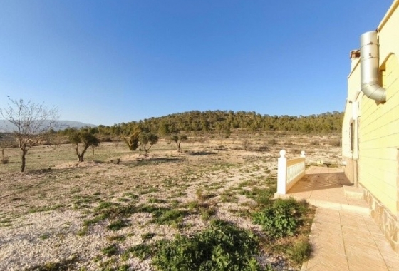 Rynek Wtórny - Willa - Alicante - Cañada Roja
