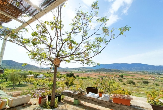 Rynek Wtórny - Wiejski dom - Hondón de las Nieves - Vinalopó Medio