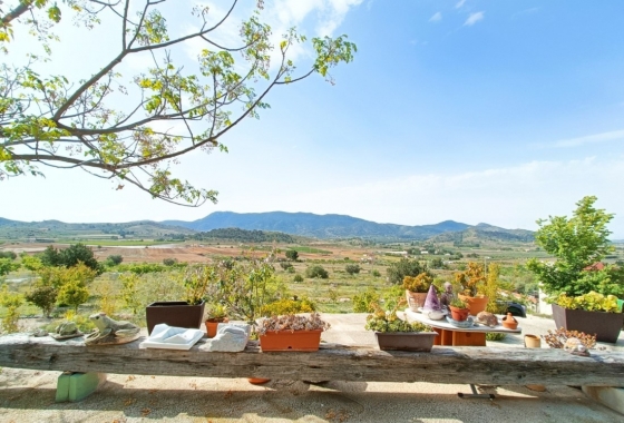 Rynek Wtórny - Wiejski dom - Hondón de las Nieves - Vinalopó Medio