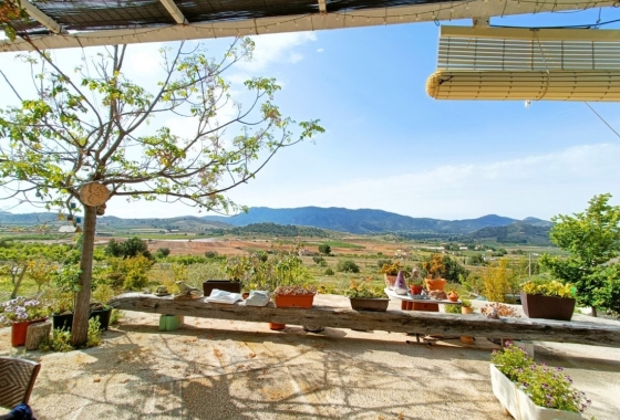 Rynek Wtórny - Wiejski dom - Hondón de las Nieves - Vinalopó Medio