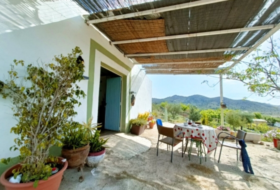 Rynek Wtórny - Wiejski dom - Hondón de las Nieves - Vinalopó Medio