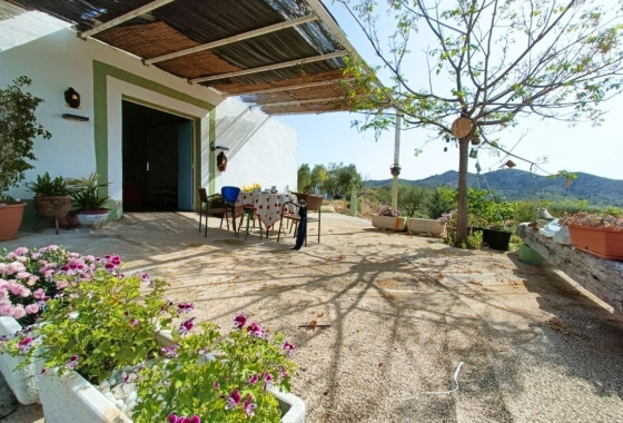 Rynek Wtórny - Wiejski dom - Hondón de las Nieves - Vinalopó Medio