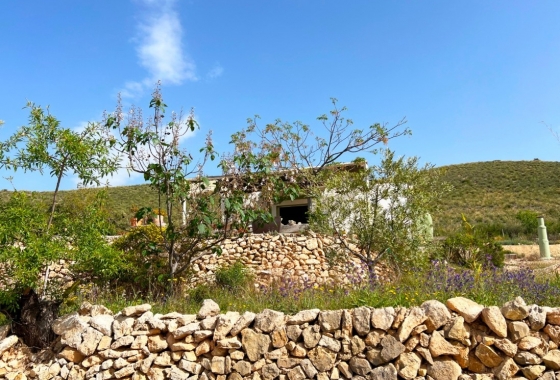Rynek Wtórny - Wiejski dom - Hondón de las Nieves - Vinalopó Medio