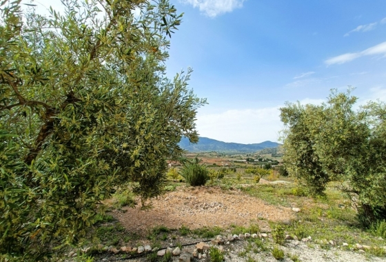 Rynek Wtórny - Wiejski dom - Hondón de las Nieves - Vinalopó Medio