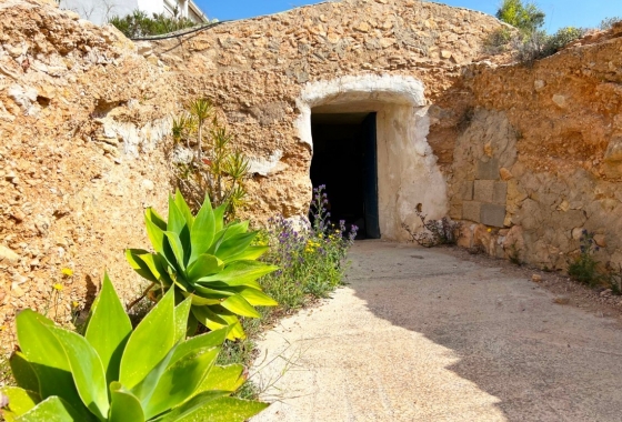 Rynek Wtórny - Wiejski dom - Hondón de las Nieves - Vinalopó Medio