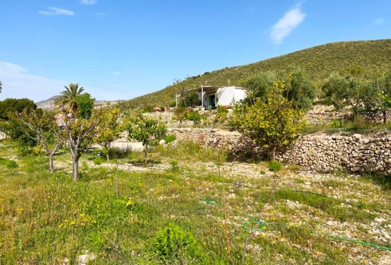 Rynek Wtórny - Wiejski dom - Hondón de las Nieves - Vinalopó Medio