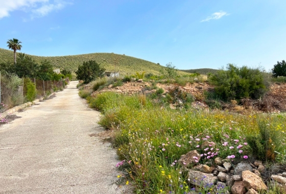 Rynek Wtórny - Wiejski dom - Hondón de las Nieves - Vinalopó Medio