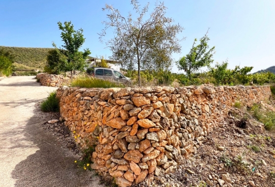 Rynek Wtórny - Wiejski dom - Hondón de las Nieves - Vinalopó Medio
