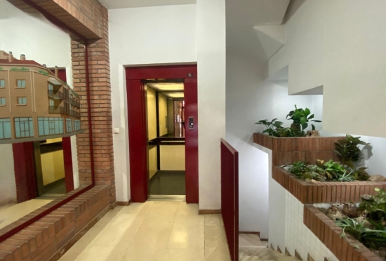 Rynek Wtórny - Poddasze - Alicante - Carolinas Bajas