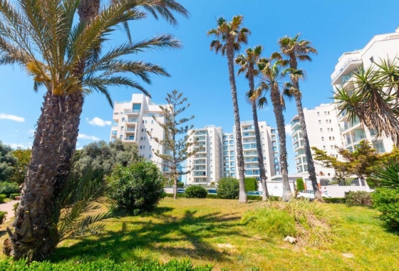 Rynek Wtórny - Apartament - La Mata