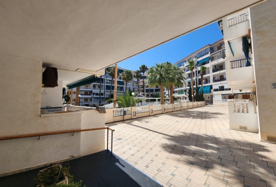 Rynek Wtórny - Apartament - La Mata
