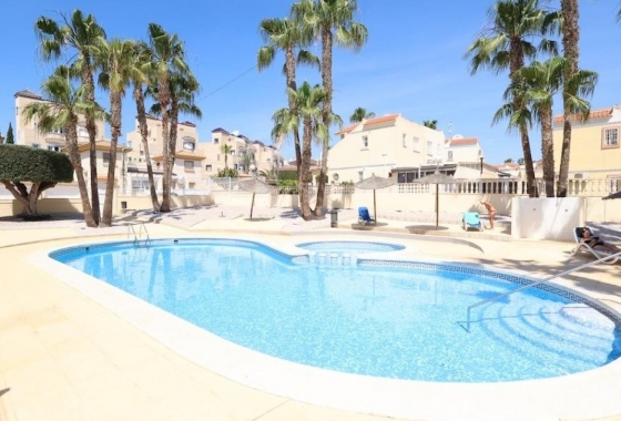 Resale - Apartment / flat - San Miguel de Salinas