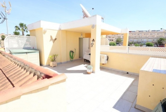 Resale - Apartment / flat - San Miguel de Salinas