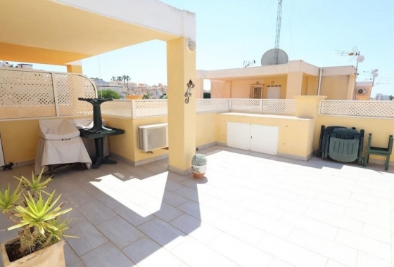Resale - Apartment / flat - San Miguel de Salinas