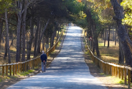 Reventa - Apartamento / piso - Guardamar del Segura