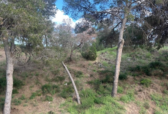 Reventa - Apartamento / piso - Guardamar del Segura