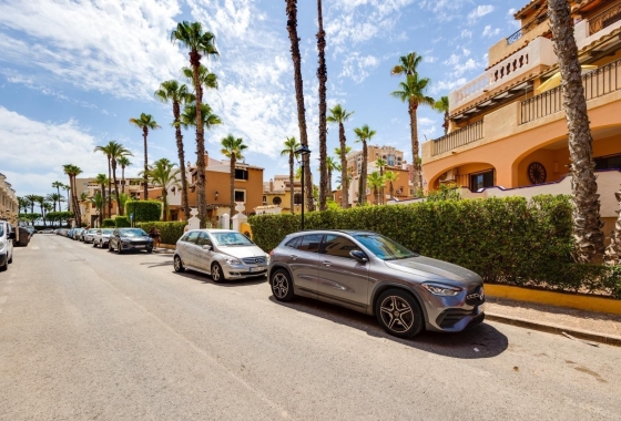 Rynek Wtórny - Apartament - Torrevieja - Torrevieja - Playa de los Locos