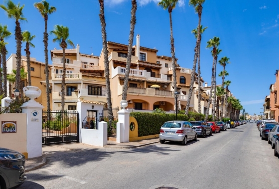 Rynek Wtórny - Apartament - Torrevieja - Torrevieja - Playa de los Locos
