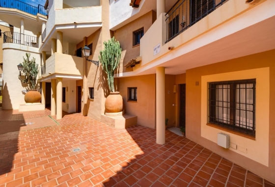 Rynek Wtórny - Apartament - Torrevieja - Torrevieja - Playa de los Locos