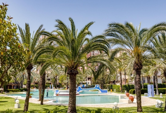 Rynek Wtórny - Apartament - Torrevieja - Torrevieja - Playa de los Locos