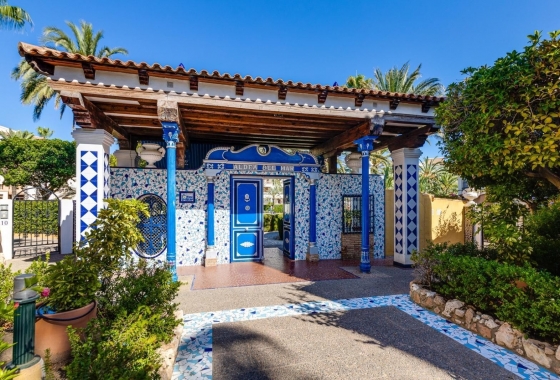 Rynek Wtórny - Apartament - Torrevieja - Torrevieja - Playa de los Locos