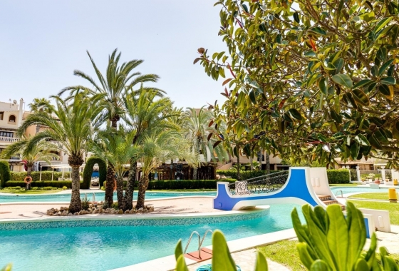 Rynek Wtórny - Apartament - Torrevieja - Torrevieja - Playa de los Locos