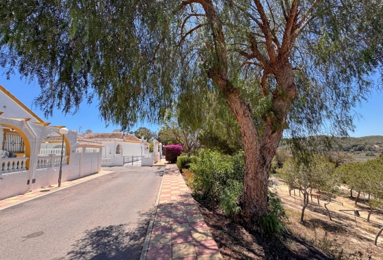 Rynek Wtórny - Bliźniak - Guardamar del Segura - Urbanizaciones