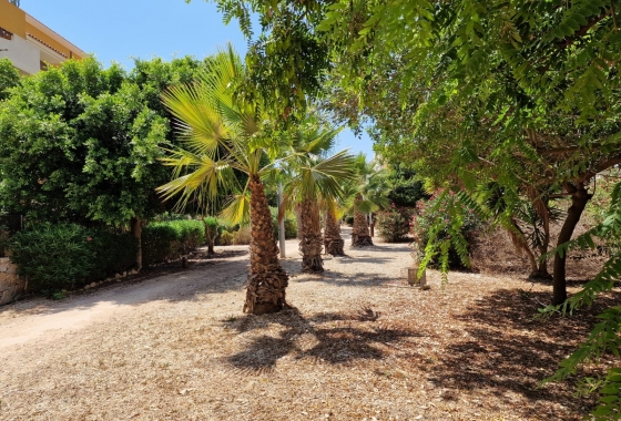 Resale - Apartment / flat - Orihuela Costa - Punta Prima