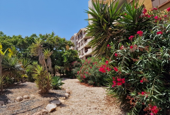 Resale - Apartment / flat - Orihuela Costa - Punta Prima