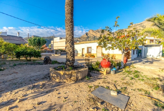 Reventa - Finca - Orihuela Costa - Orihuela