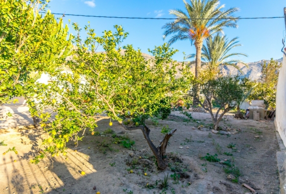 Reventa - Finca - Orihuela Costa - Orihuela