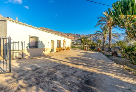 Reventa - Finca - Orihuela Costa - Orihuela